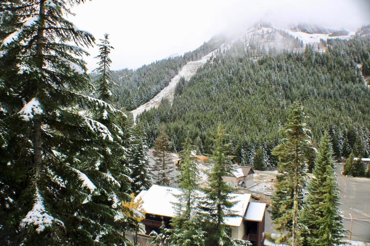Crystal Chalets Greenwater Exterior foto